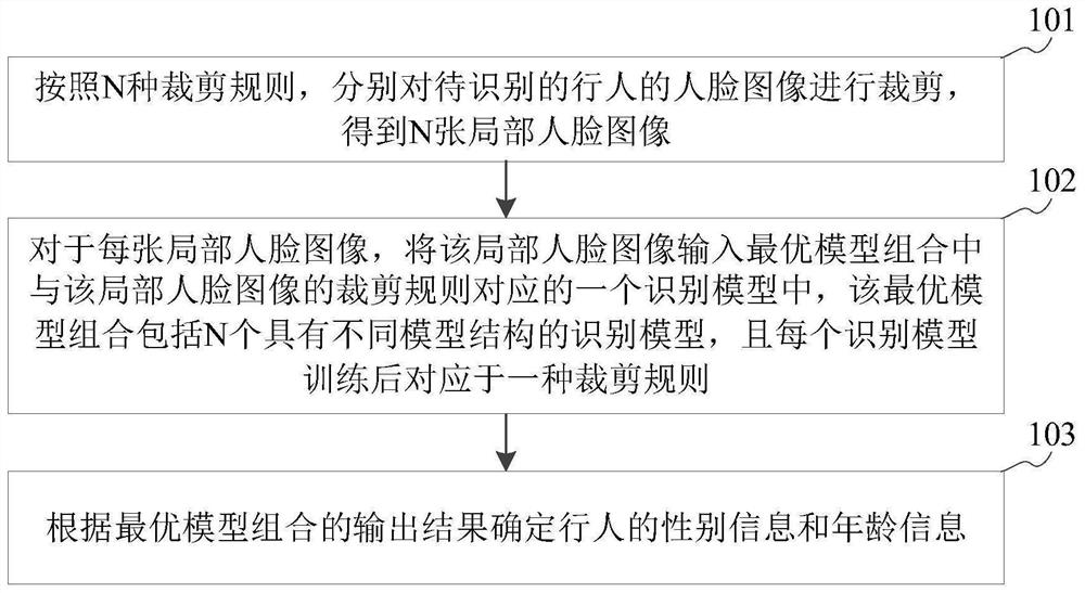 Gender and age identification method and device, storage medium and server