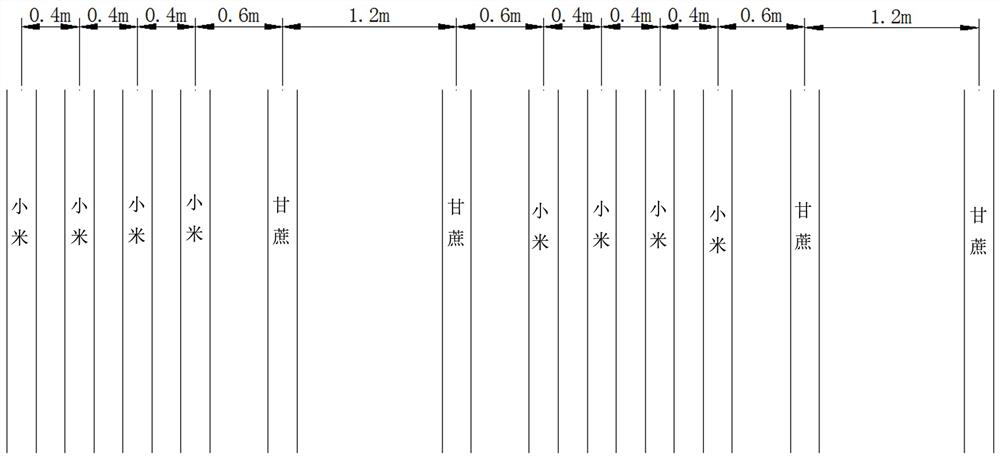 A method for crop rotation and intercropping of sugarcane, silage corn and millet