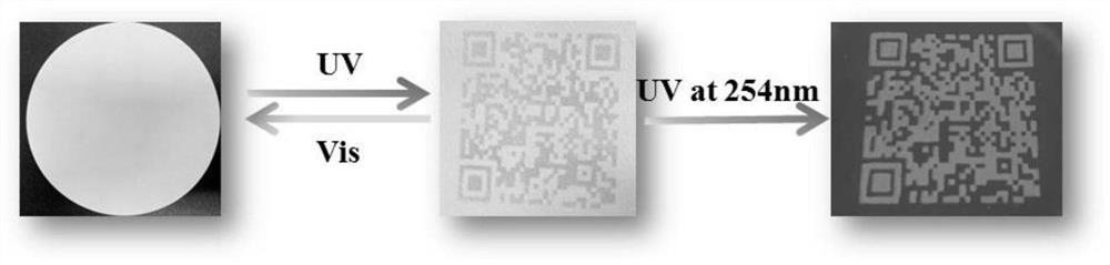 Photochromic fluorescent oily ink and preparation method thereof