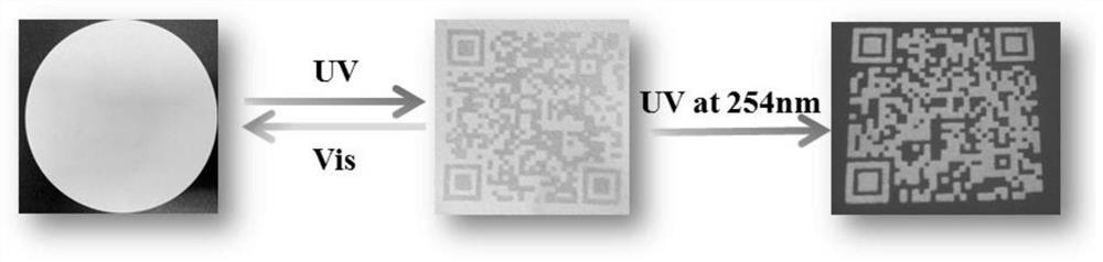 Photochromic fluorescent oily ink and preparation method thereof