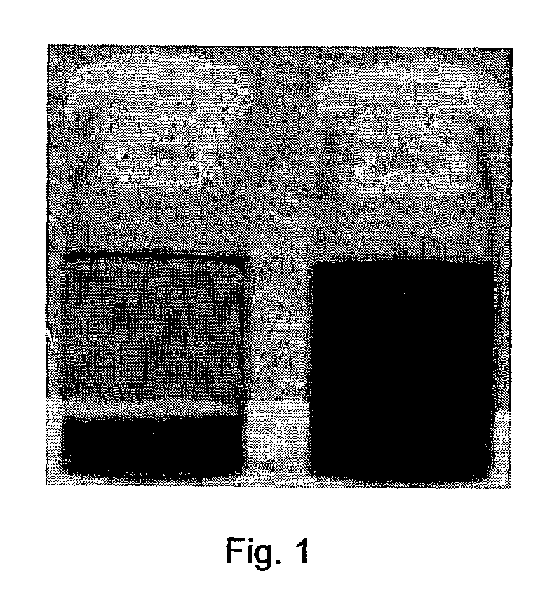 Carbon nanotube-filled composites prepared by in-situ polymerization