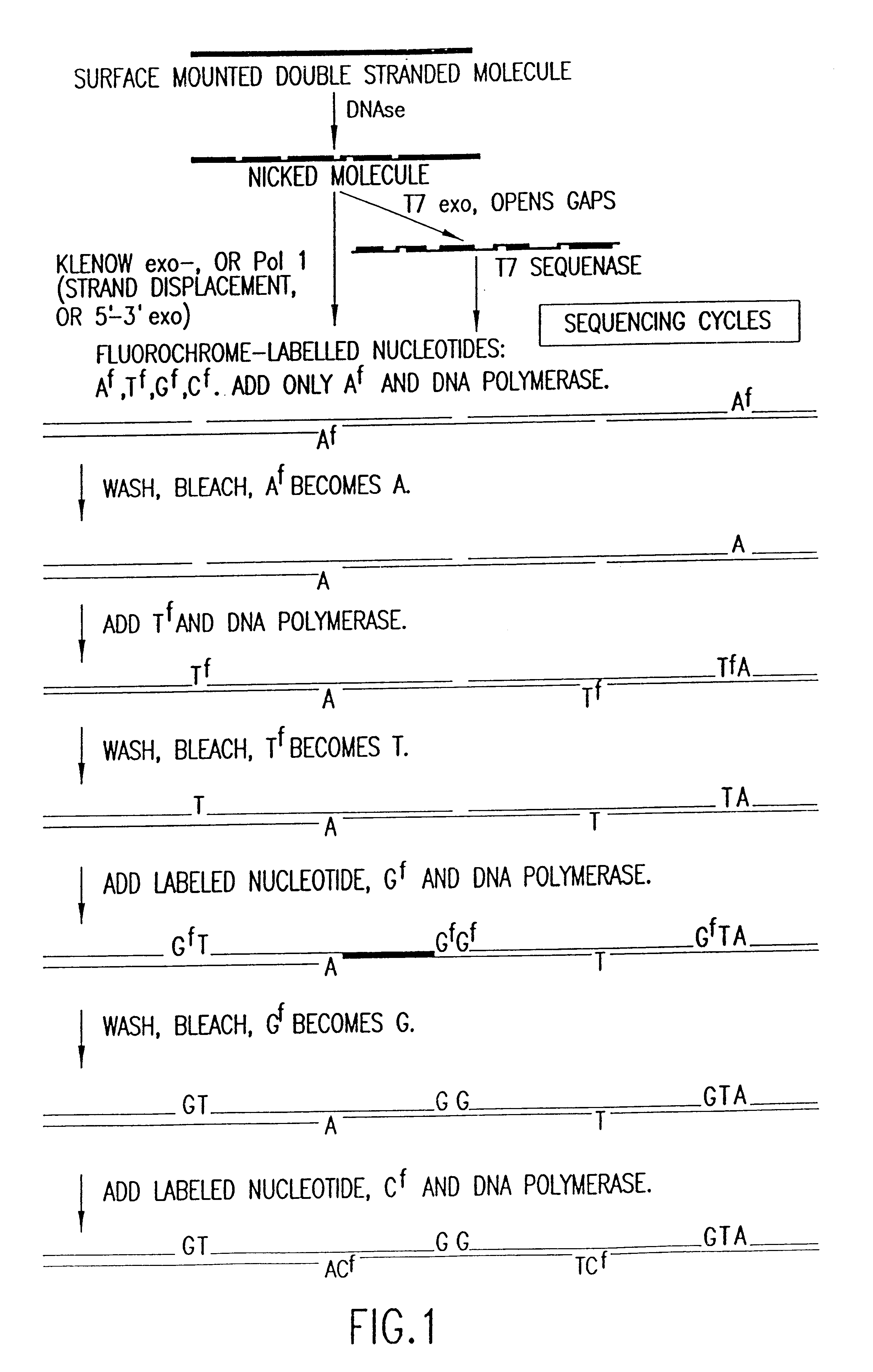 Method for analyzing nucleic acid reactions