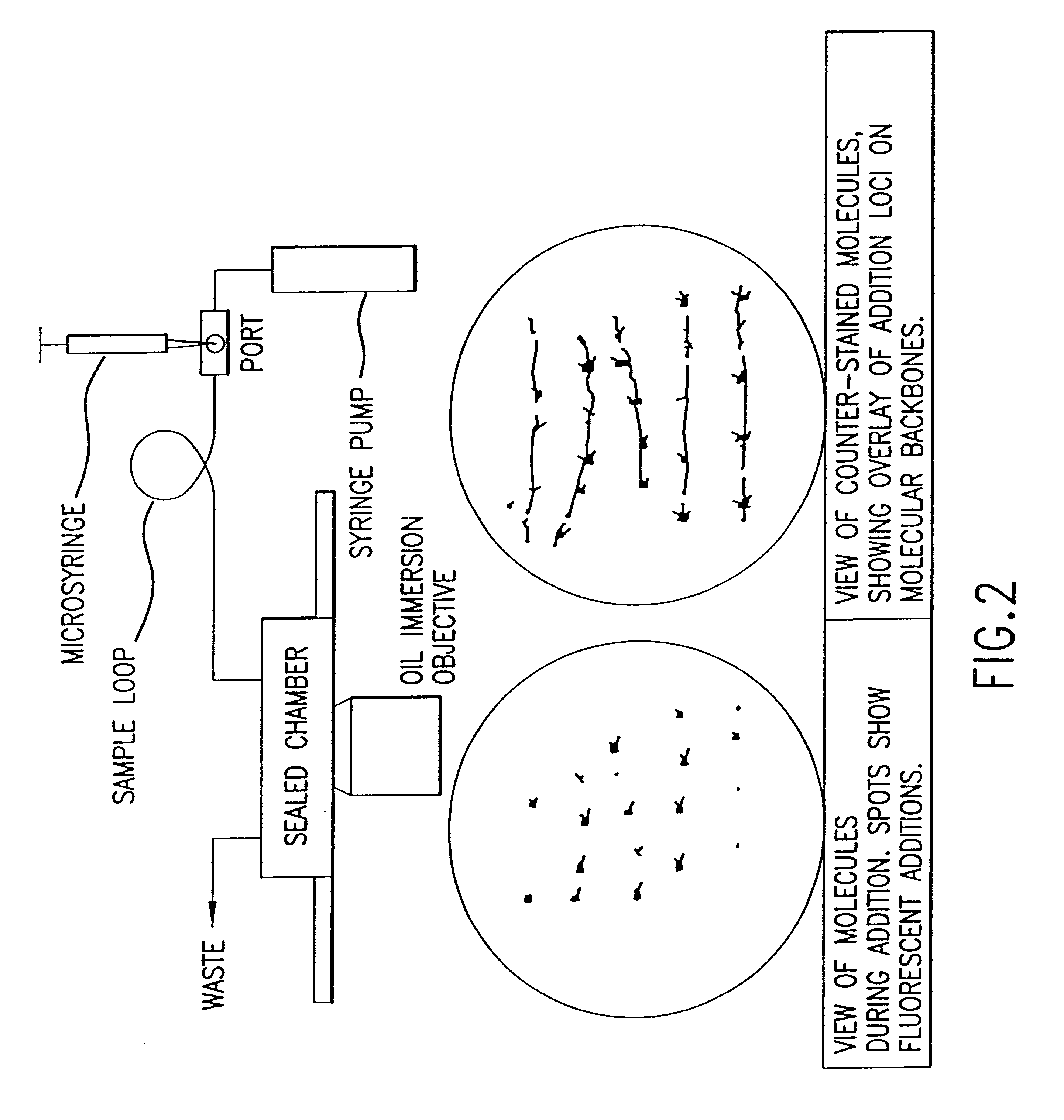 Method for analyzing nucleic acid reactions