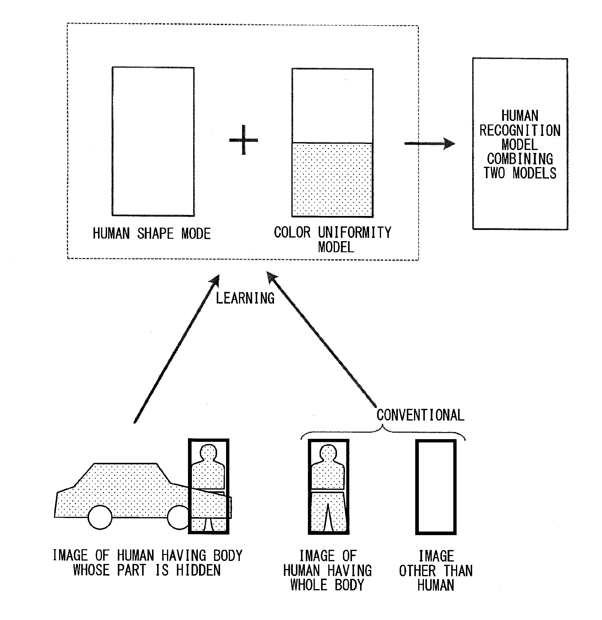 Human detection apparatus