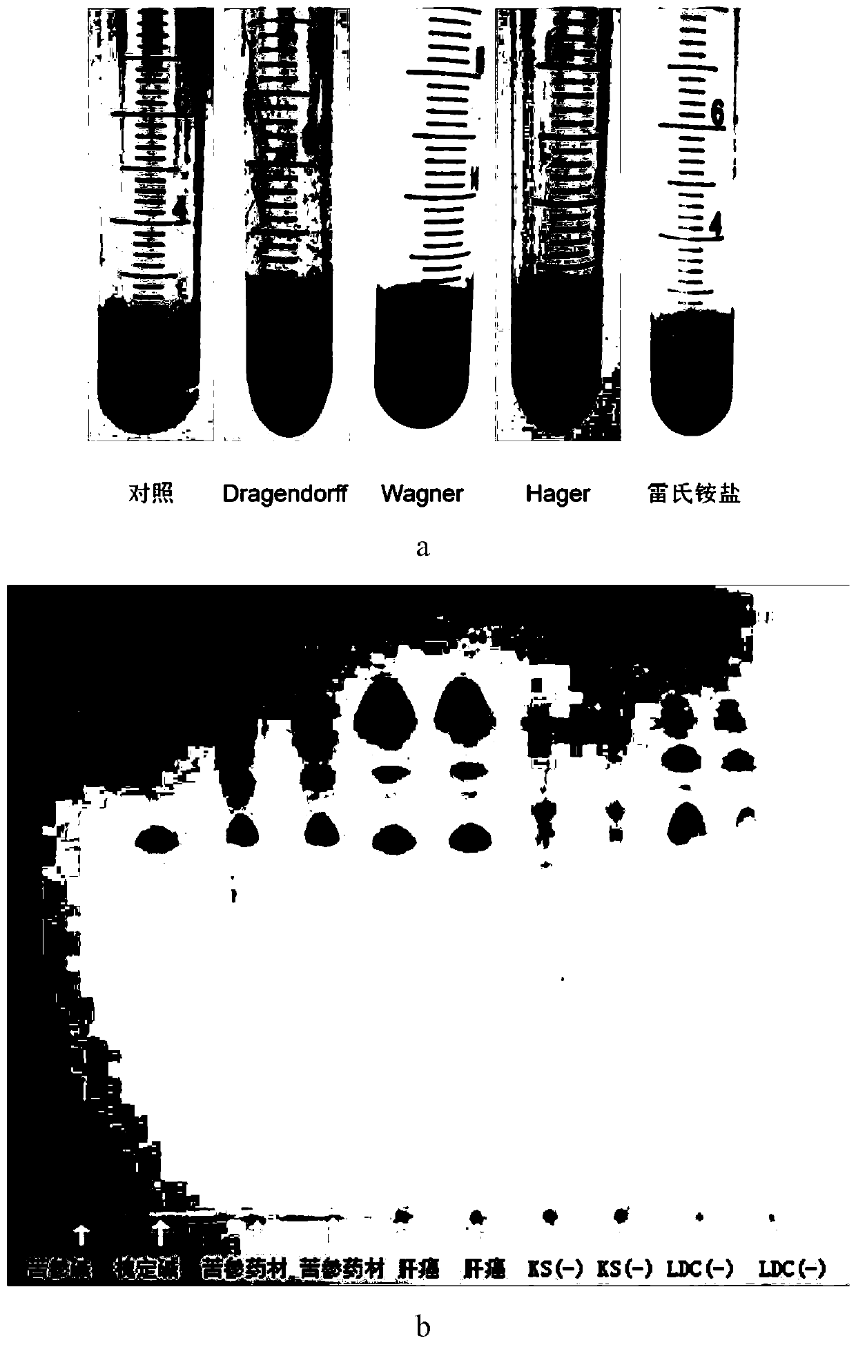 Traditional Chinese medicine composition and preparation method and application thereof