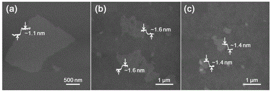 Method for preparing functionalized graphene oxide