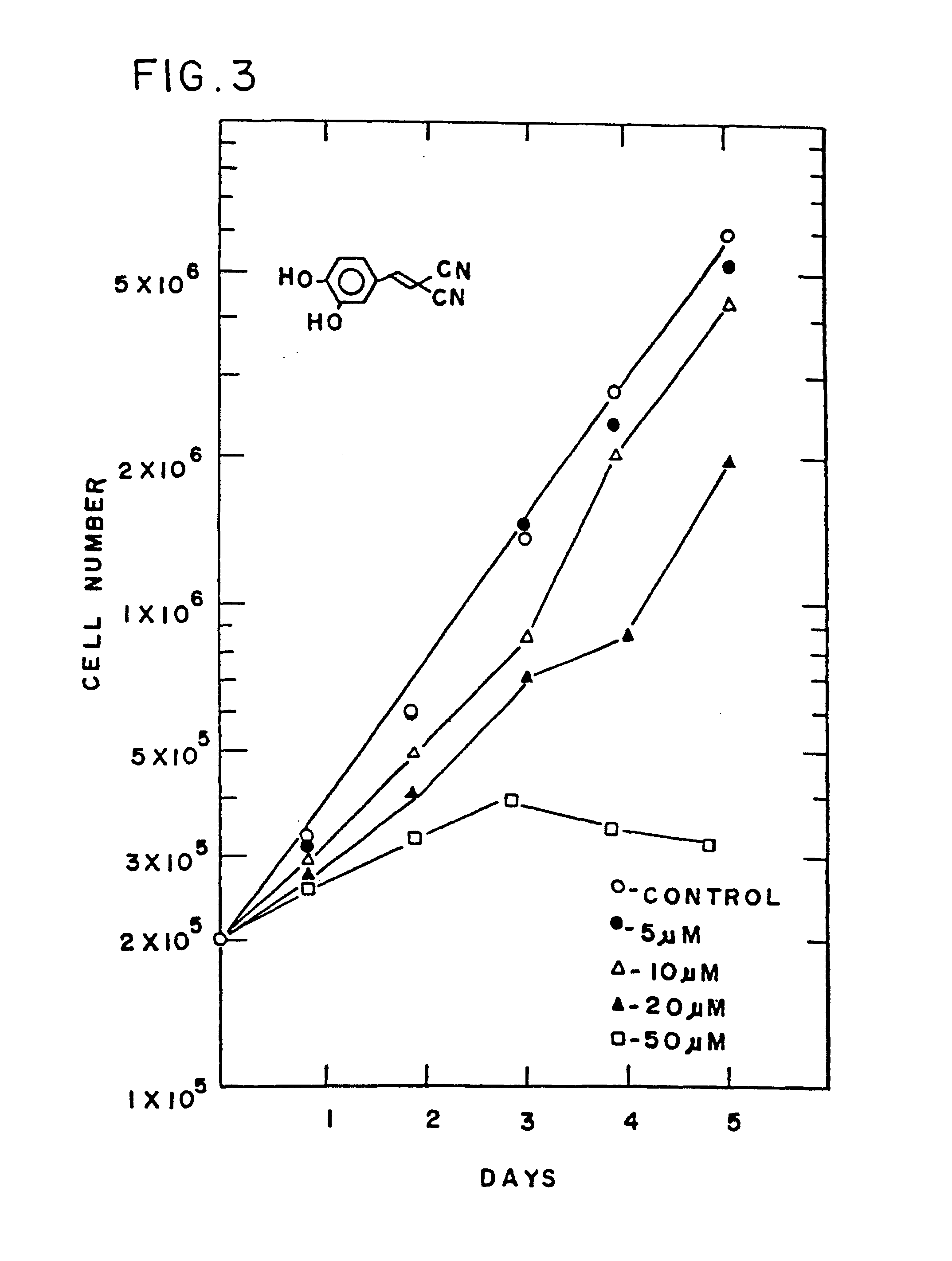 Styryl compounds which inhibit EGF receptor protein tyrosine kinase