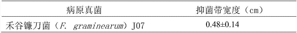 Bacillus velezensis JS25R and application thereof