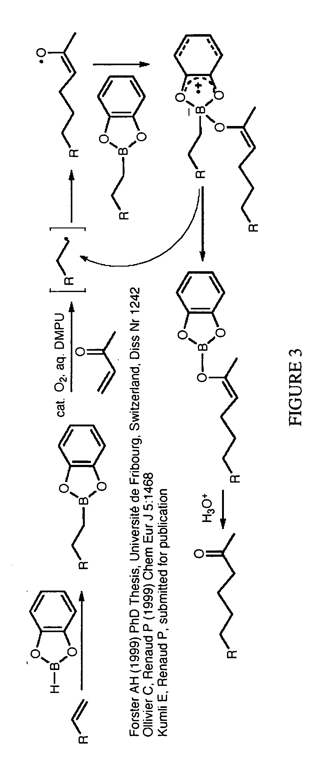 Fluorescence detection of poison oak oil