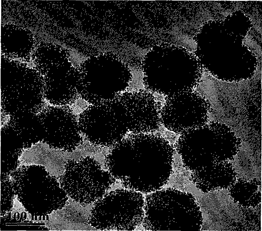 Process for preparing nickel-zine ferrite (NixZn1-xFe2O4) magnetic nano powder by alcohol-heating method