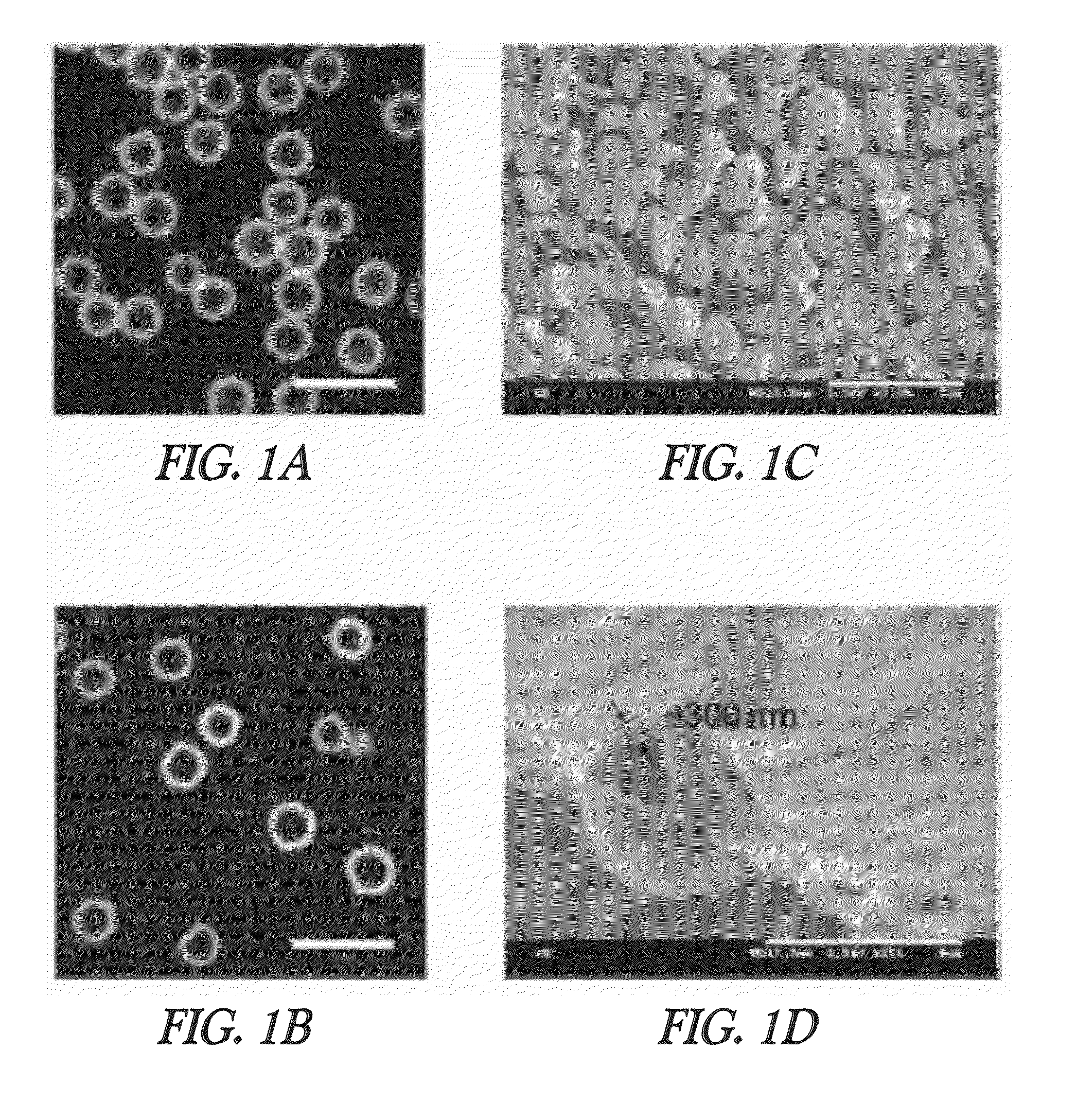 Hollow hydrogel capsules and methods of using the same