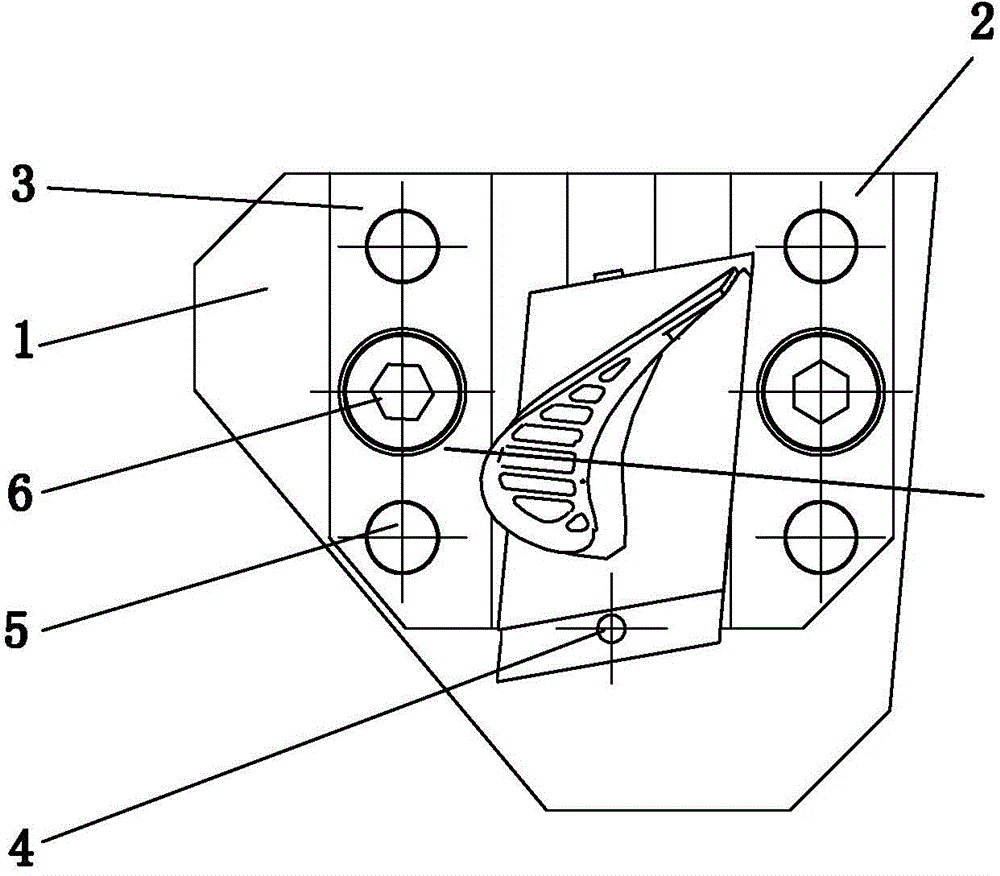 Radiographic inspection positioning device for large-curvature hollow blades