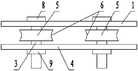 Plant trunk molding device for horticulture