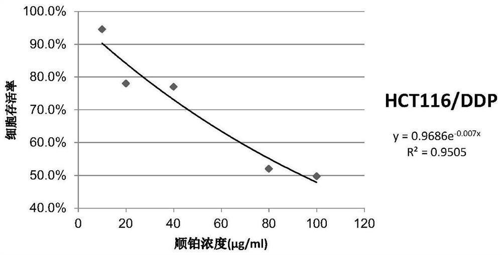 Construction method of colorectal cancer cisplatin-resistant strain