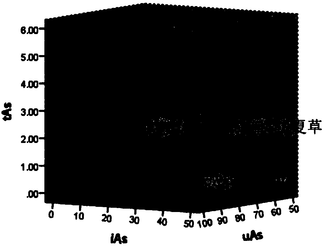 Method for identifying wild and artificial cordyceps sinensis