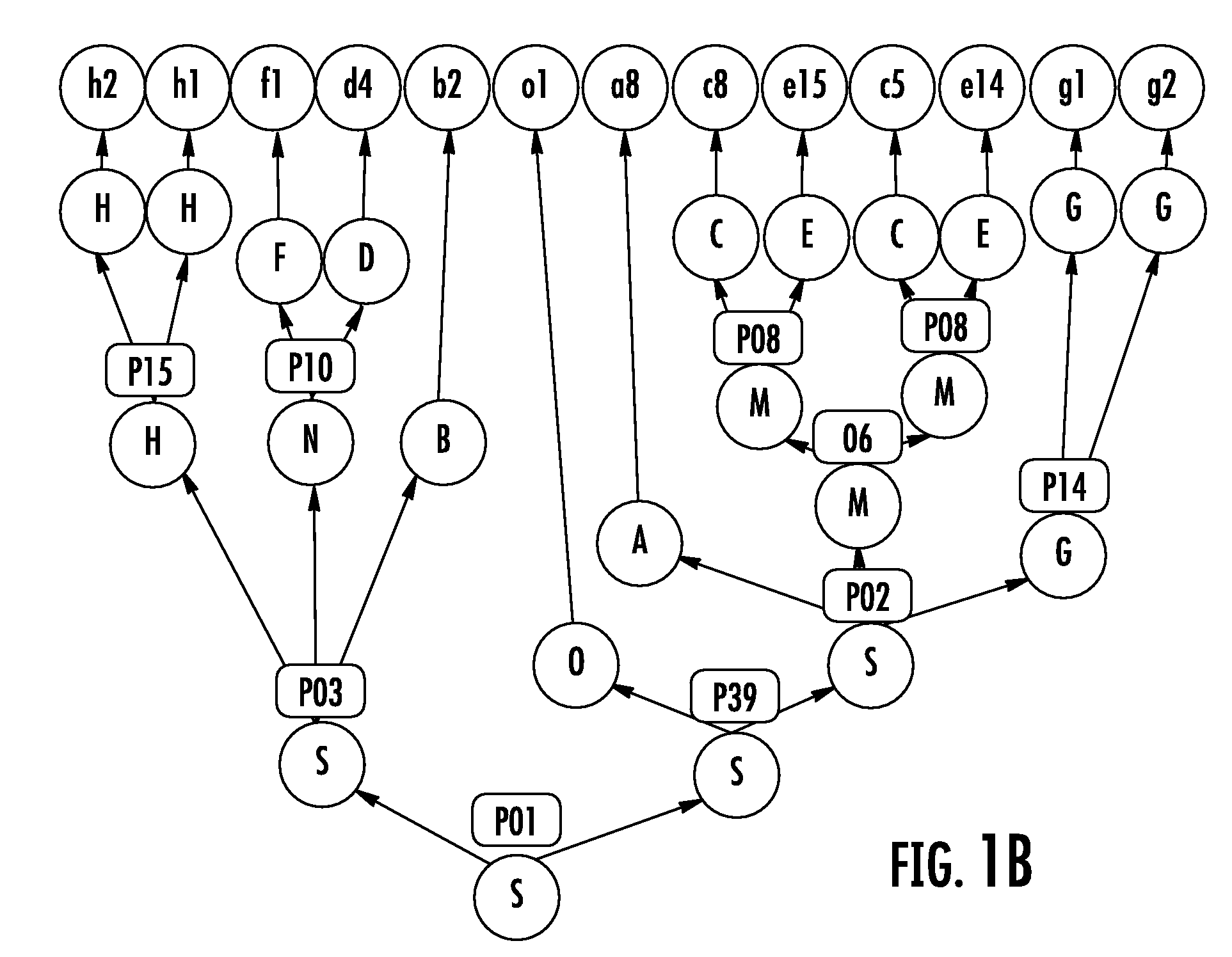 Software for design and verification of synthetic genetic constructs