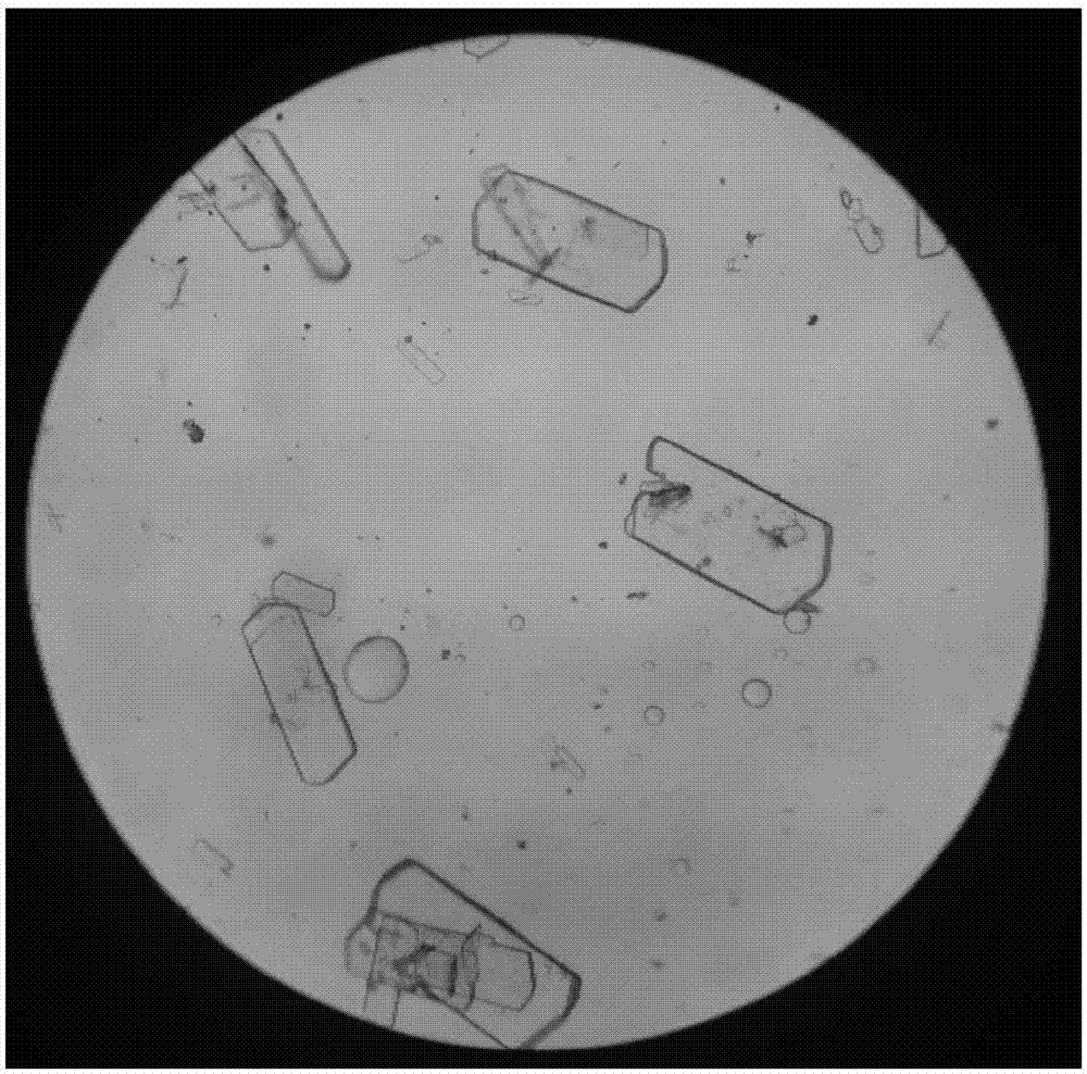 Method for regulating and controlling disodium guanylate crystallization process through oil separation and transformation