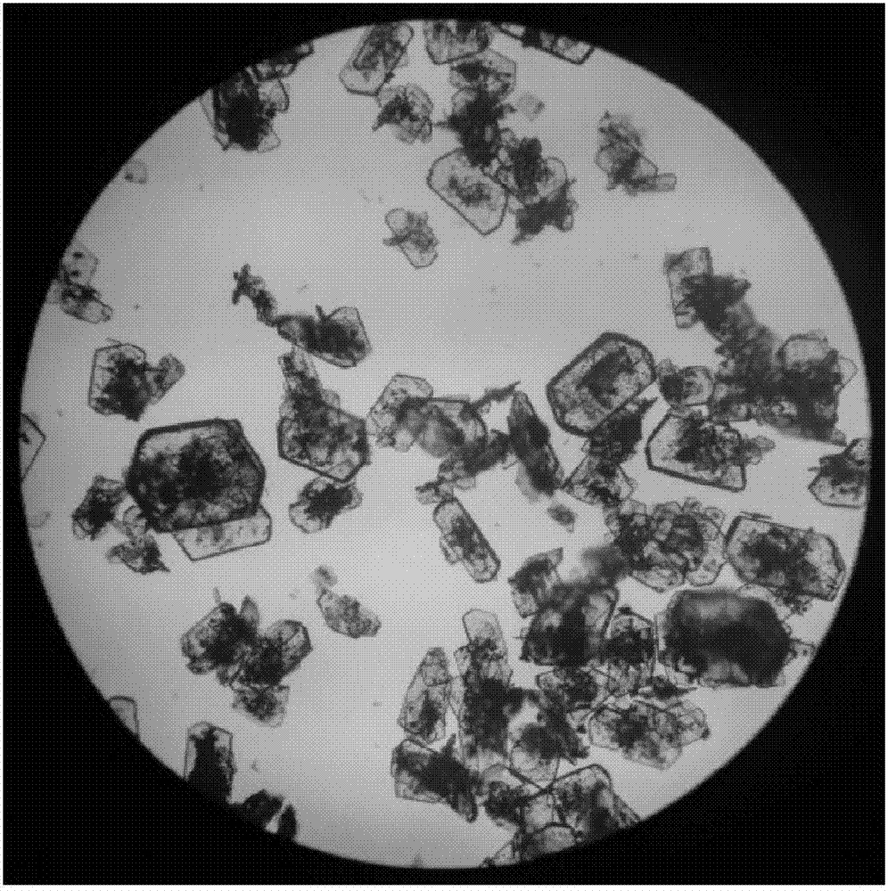 Method for regulating and controlling disodium guanylate crystallization process through oil separation and transformation