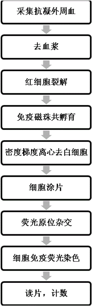 Detection kit for NPC (nasopharyngeal carcinoma) CTCs (circulating tumor cells)