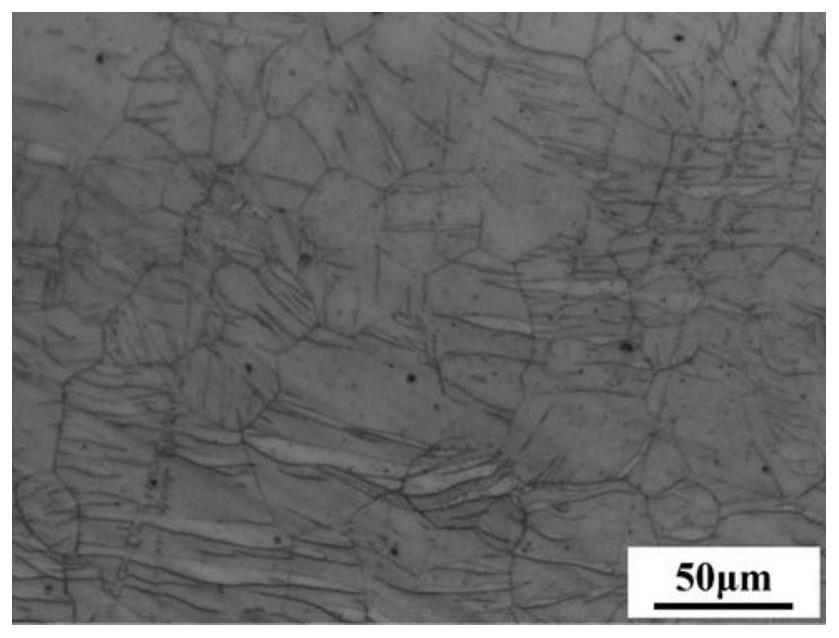 Single-pass and large-rolling-reduction magnesium alloy plate preparation method