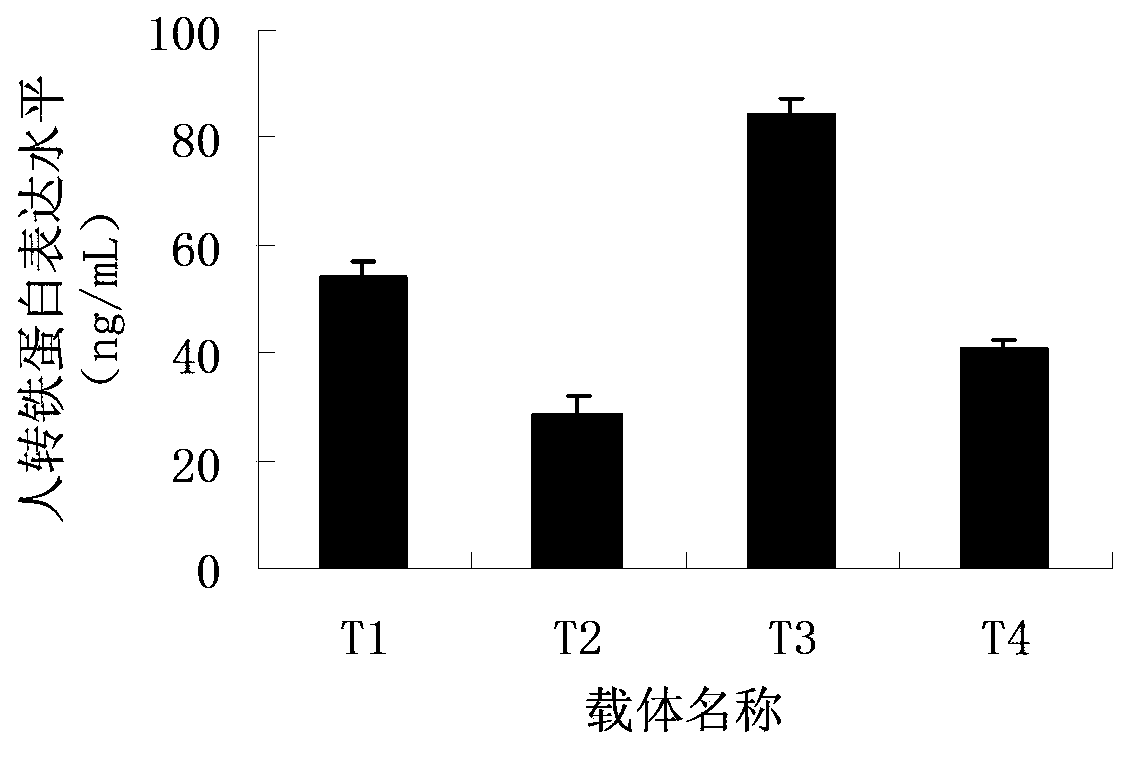 Construction and application of mammary specific expression vector for human transferrin