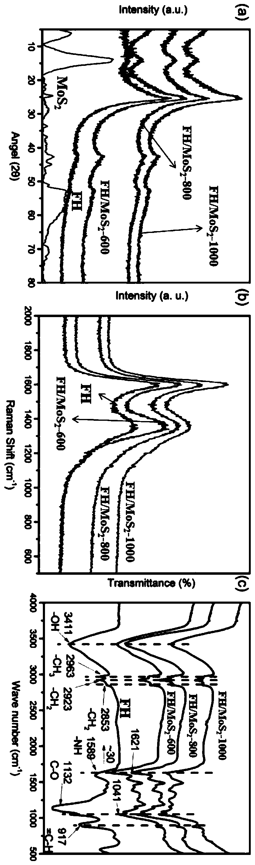 Method for preparing hypha/molybdenum sulfide adsorption-catalytic material by utilizing biological enrichment