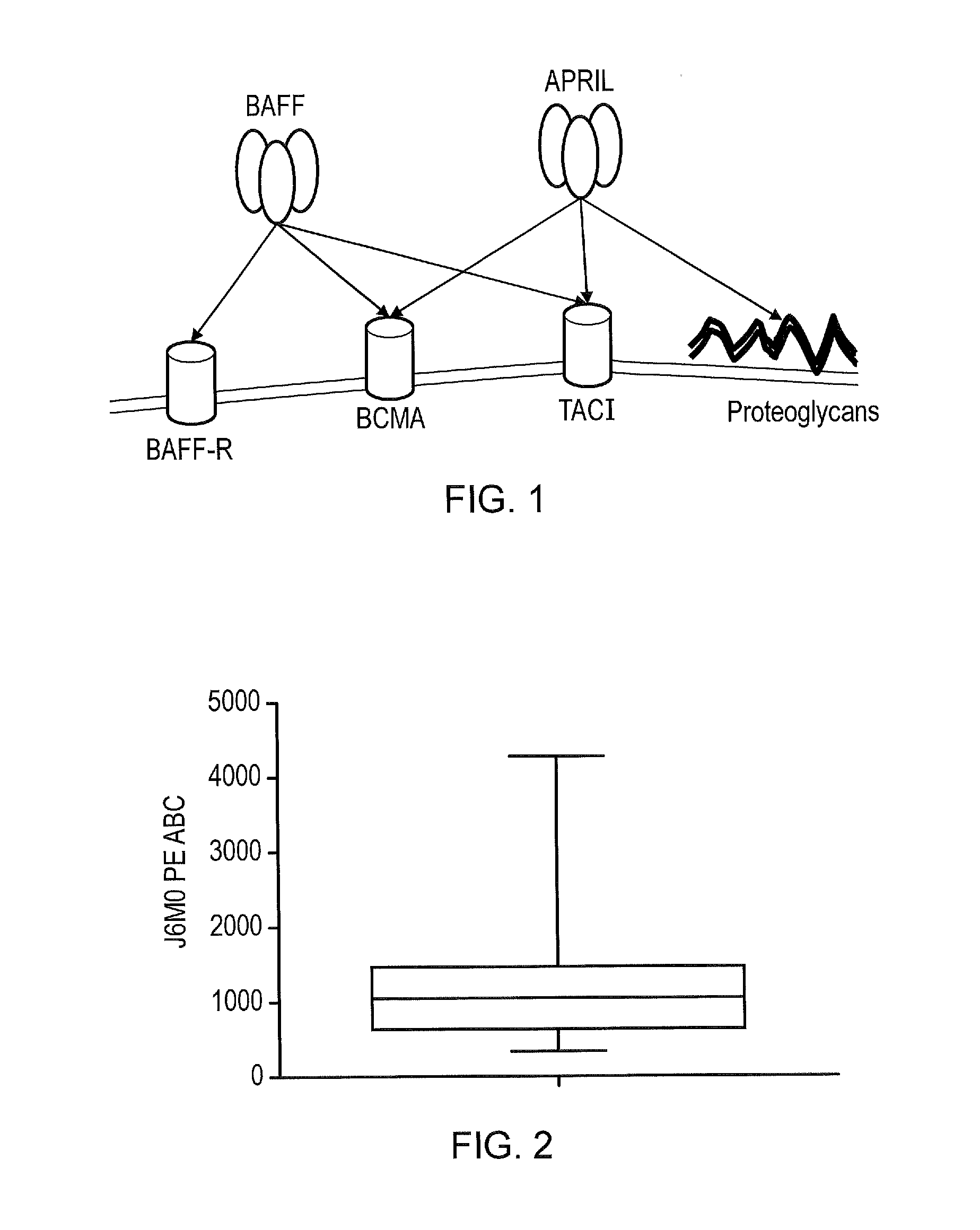 Chimeric antigen receptor