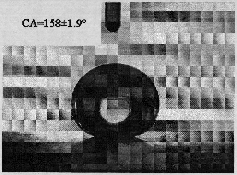 Porous super hydrophobic polypropylene film and preparation method thereof