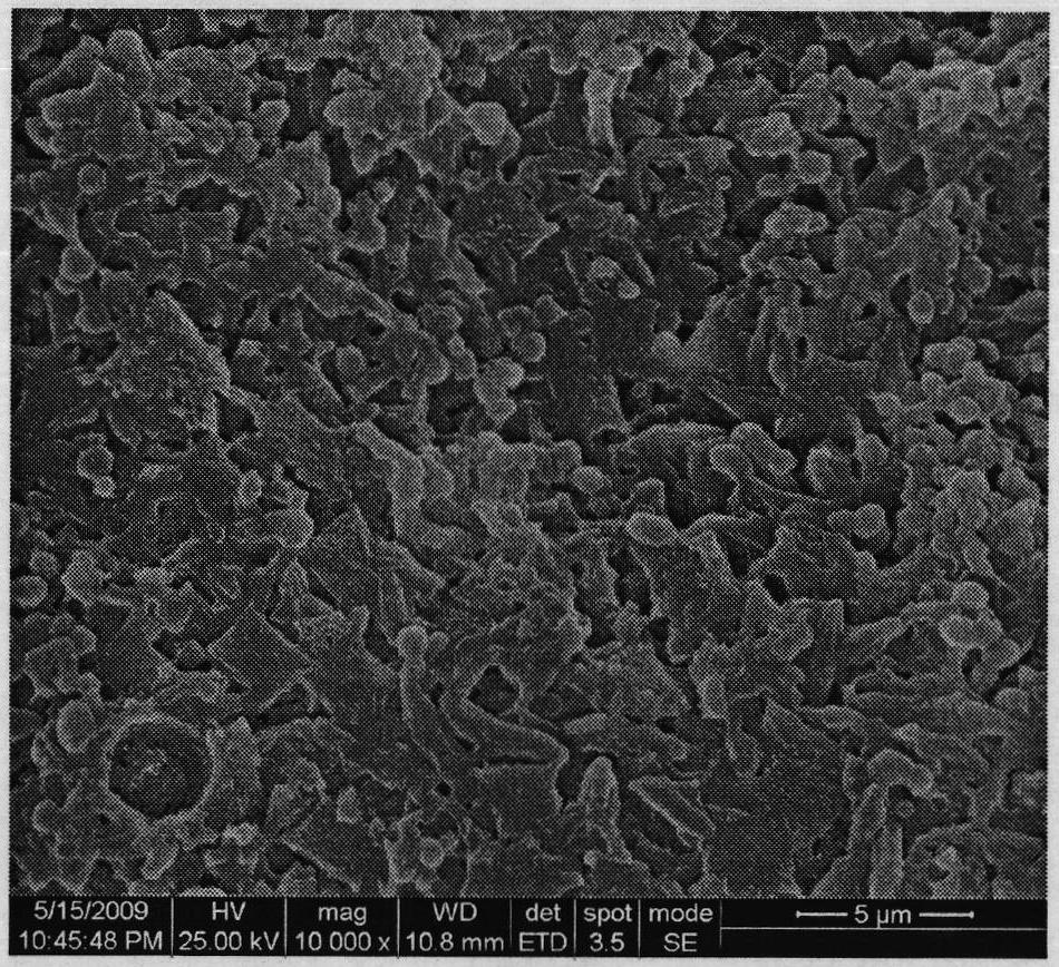 Porous super hydrophobic polypropylene film and preparation method thereof