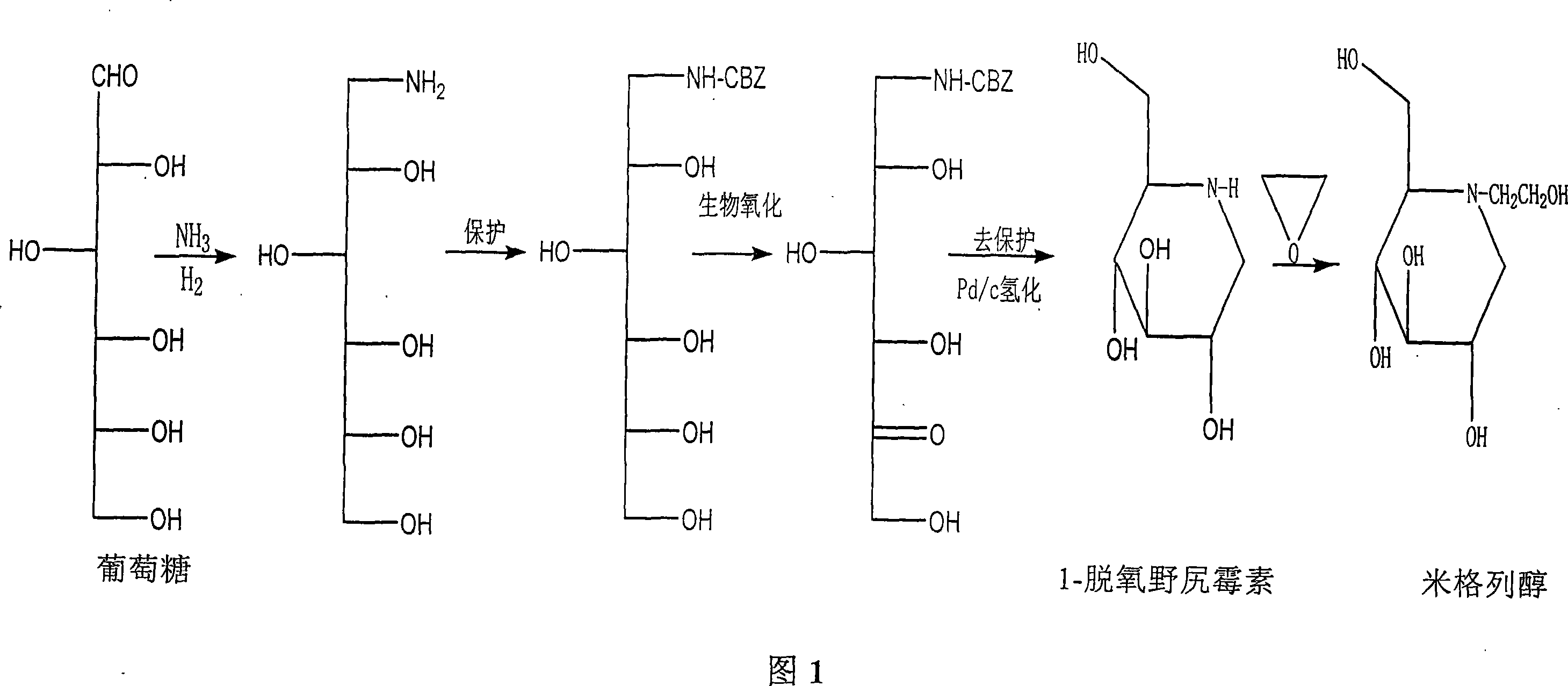 Production of miglitol