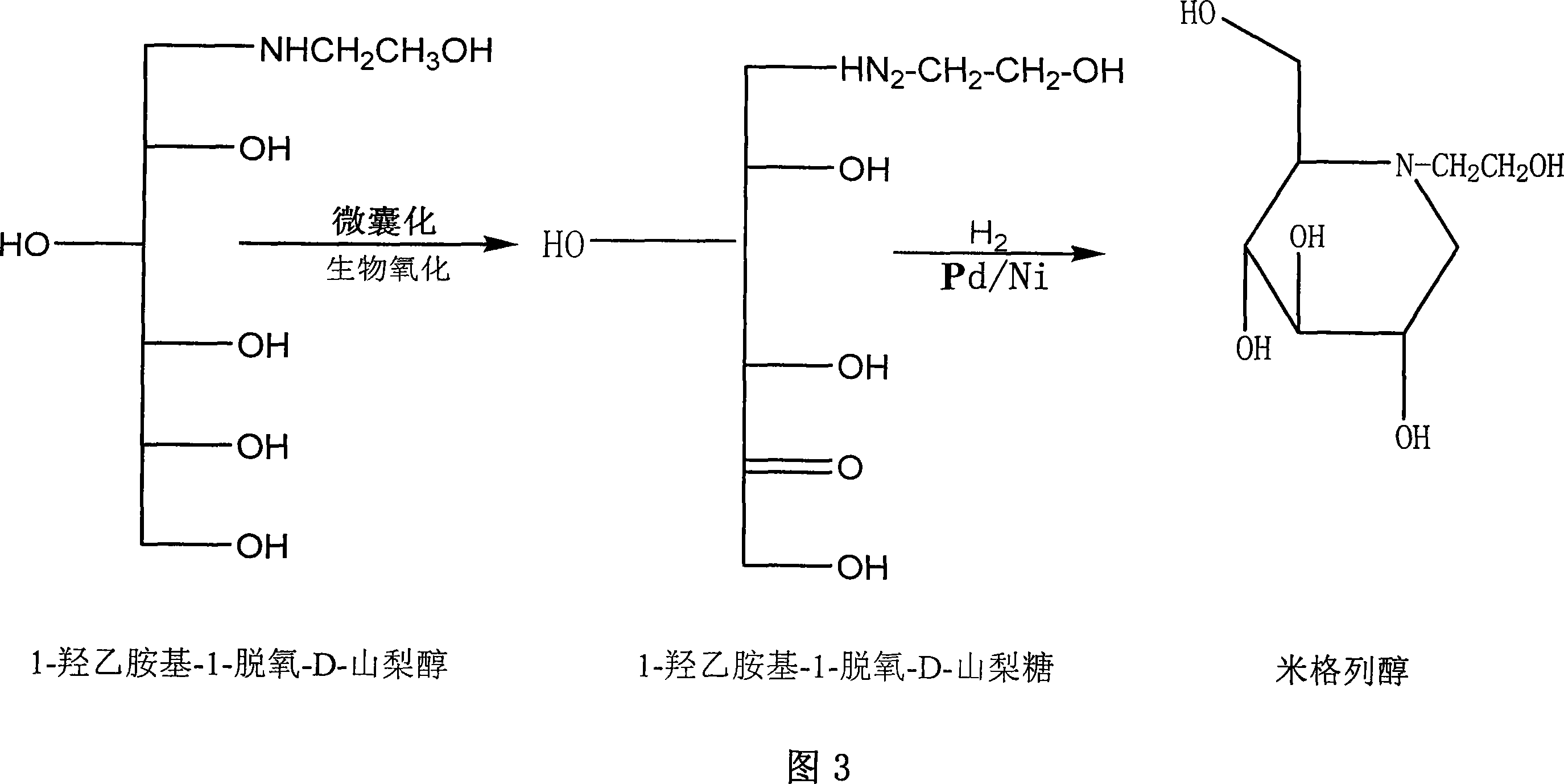 Production of miglitol