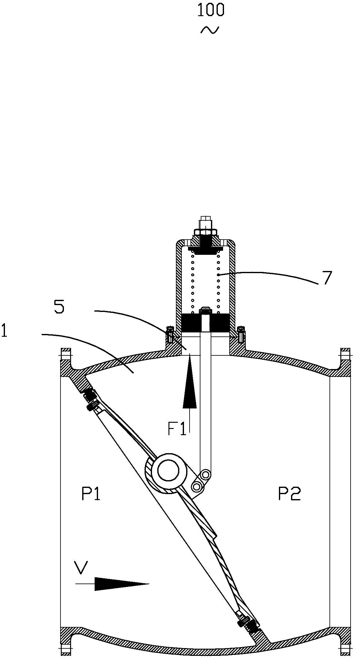 Check valve