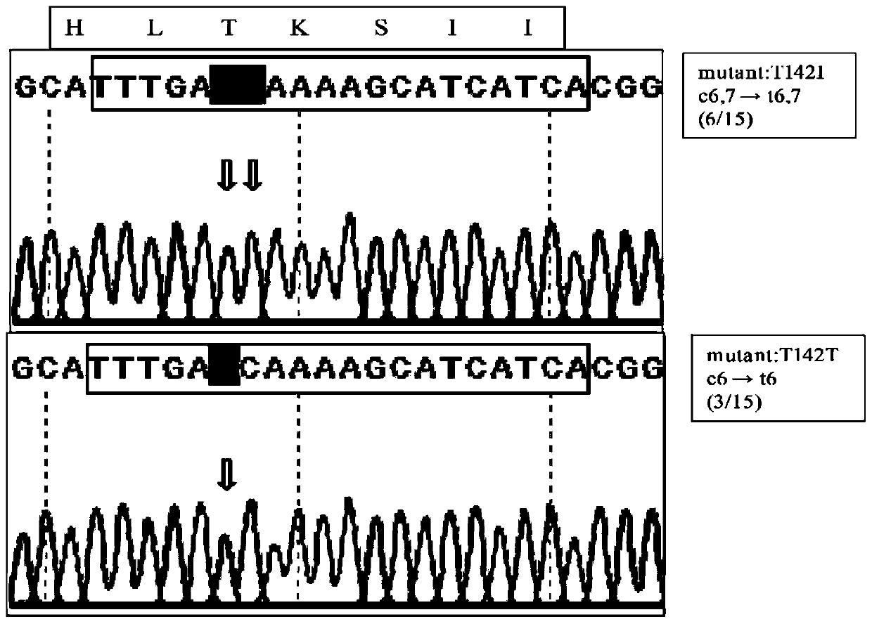 pFC330-BEC plasmid capable of achieving base precise point mutation and application thereof