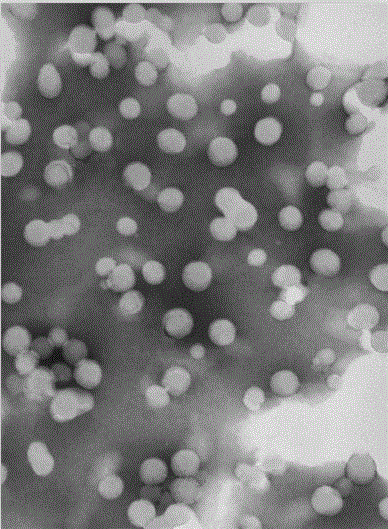 A kind of cationic nano particle surface modifier for cotton