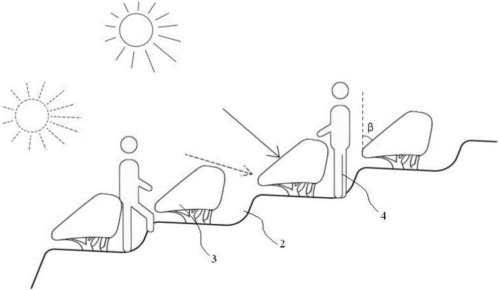 Pruning method of terraced tea tree with stereoscopic picking surface