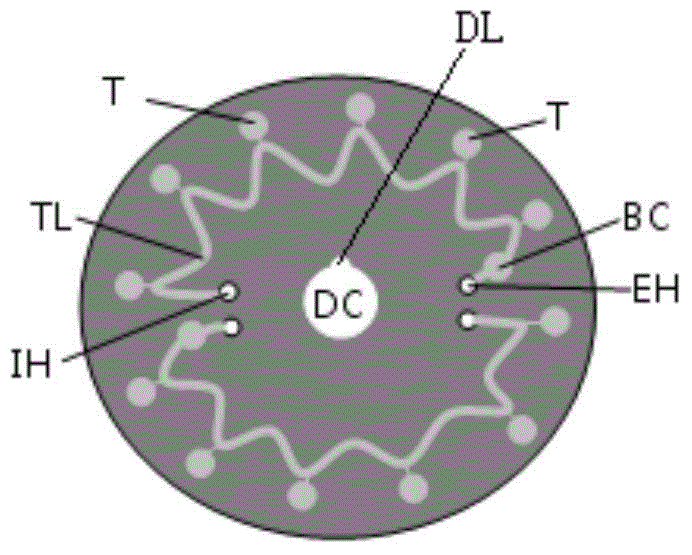 Rapid parallel nucleic acid detection method and system based on micro-fluidic chip