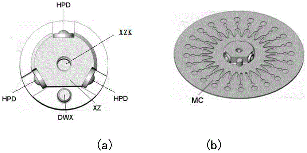 Rapid parallel nucleic acid detection method and system based on micro-fluidic chip