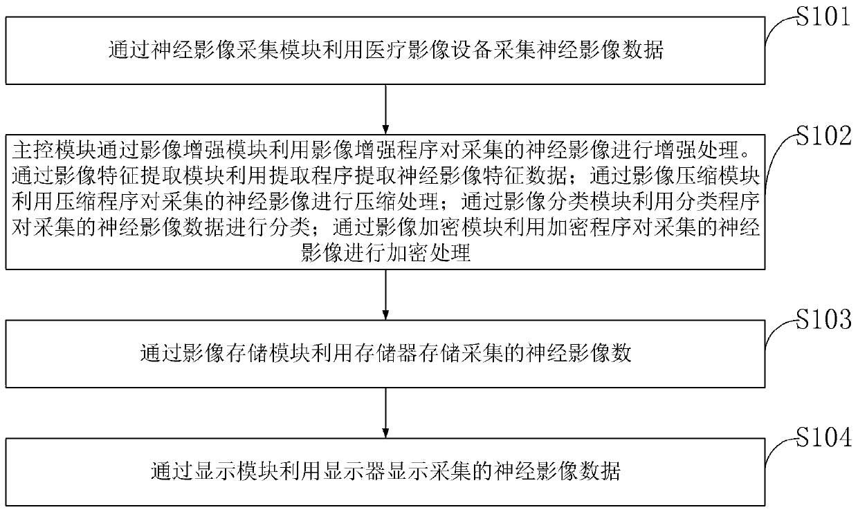 Nervous system image interaction information processing system and method