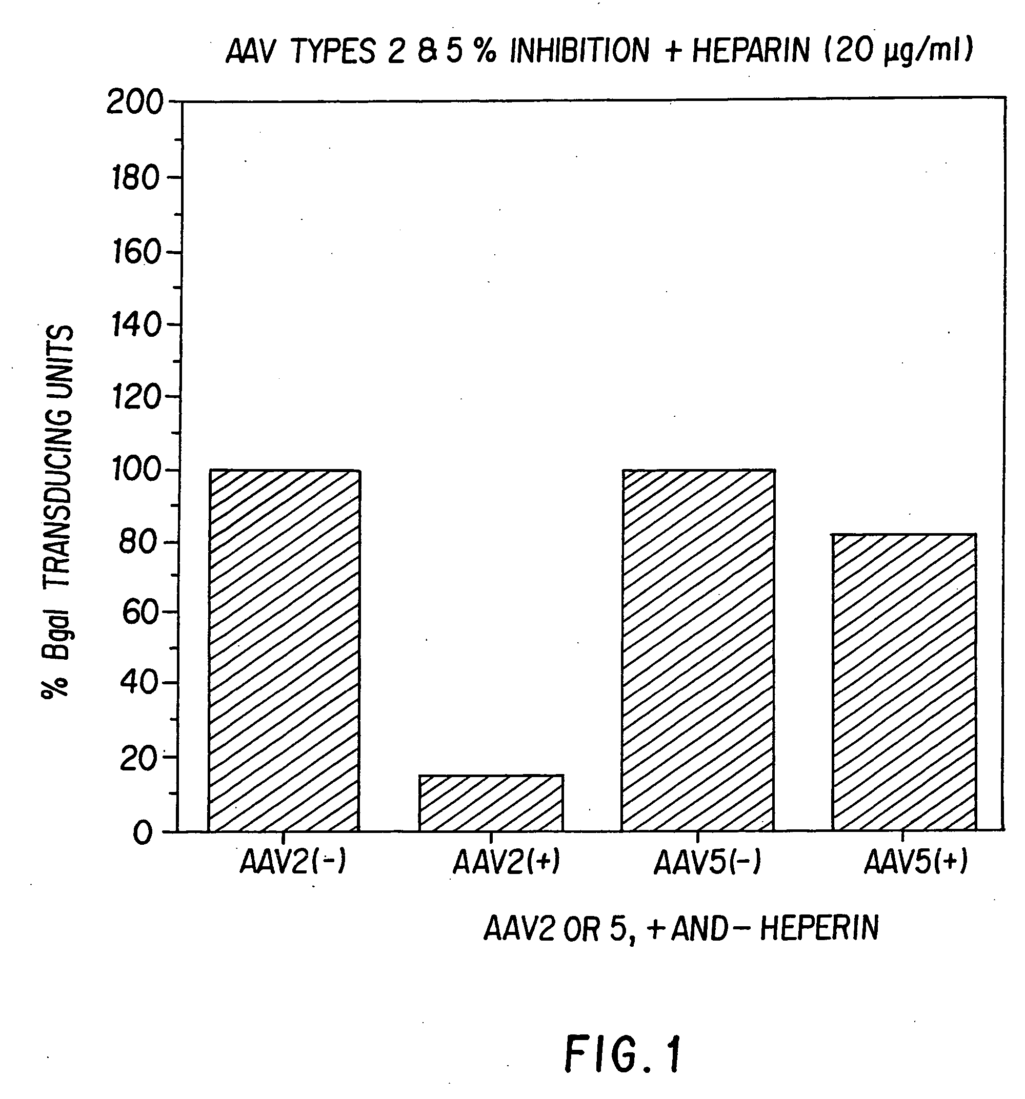 AAV5 nucleic acids