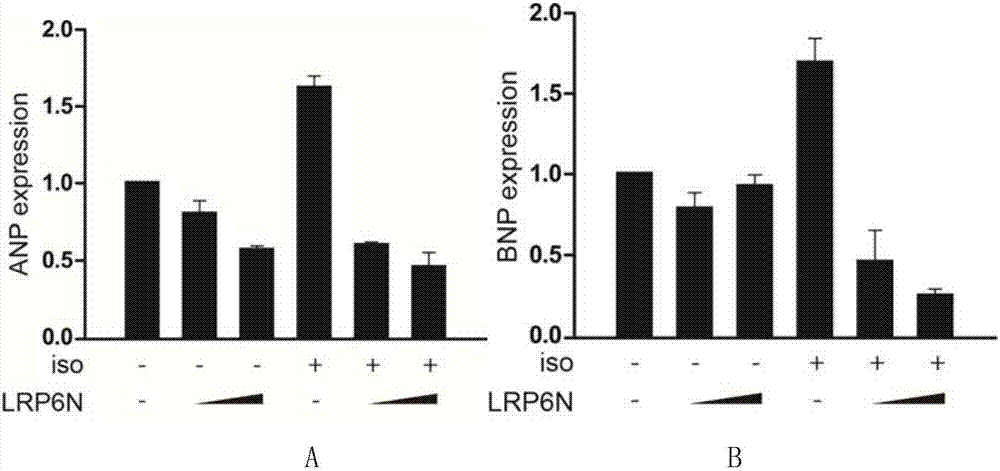 Drug for treating heart failure and protecting cardiac functionality