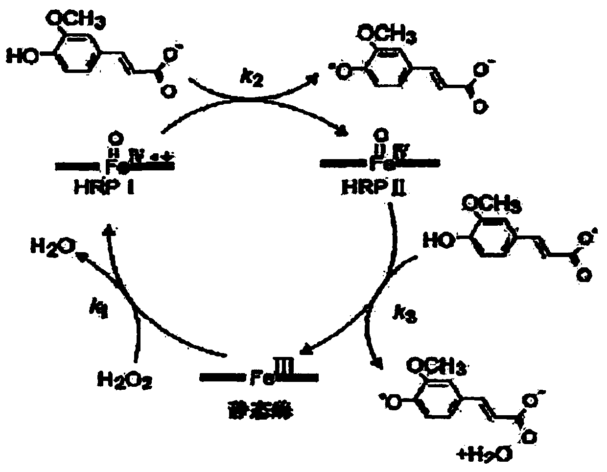 Stable protein solution, preparation method thereof and detection kit