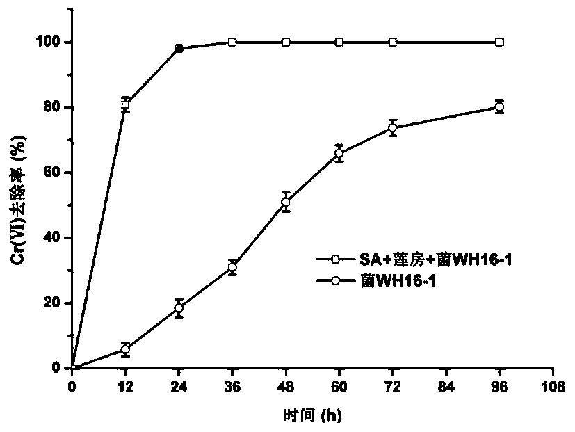 A kind of lotus pod immobilized microorganism and its preparation method and application