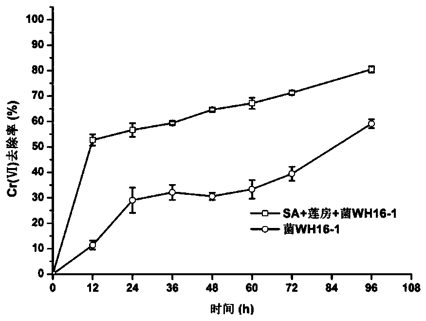 A kind of lotus pod immobilized microorganism and its preparation method and application