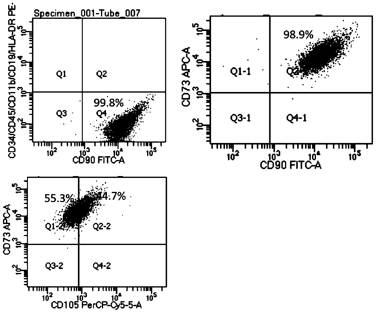 Application of mesenchymal stem cell paracrine factor to preparation of pain drugs