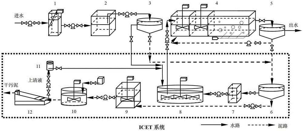 Enhanced sewage biological nitrogen and phosphorus removal method bases on polyhydroxyalkanoate metabolism regulation