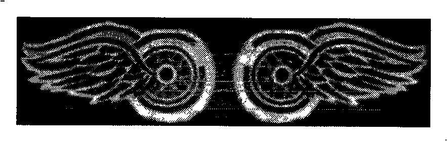 Characteristic extracting and describing method with mirror plate overturning invariability based on SIFT