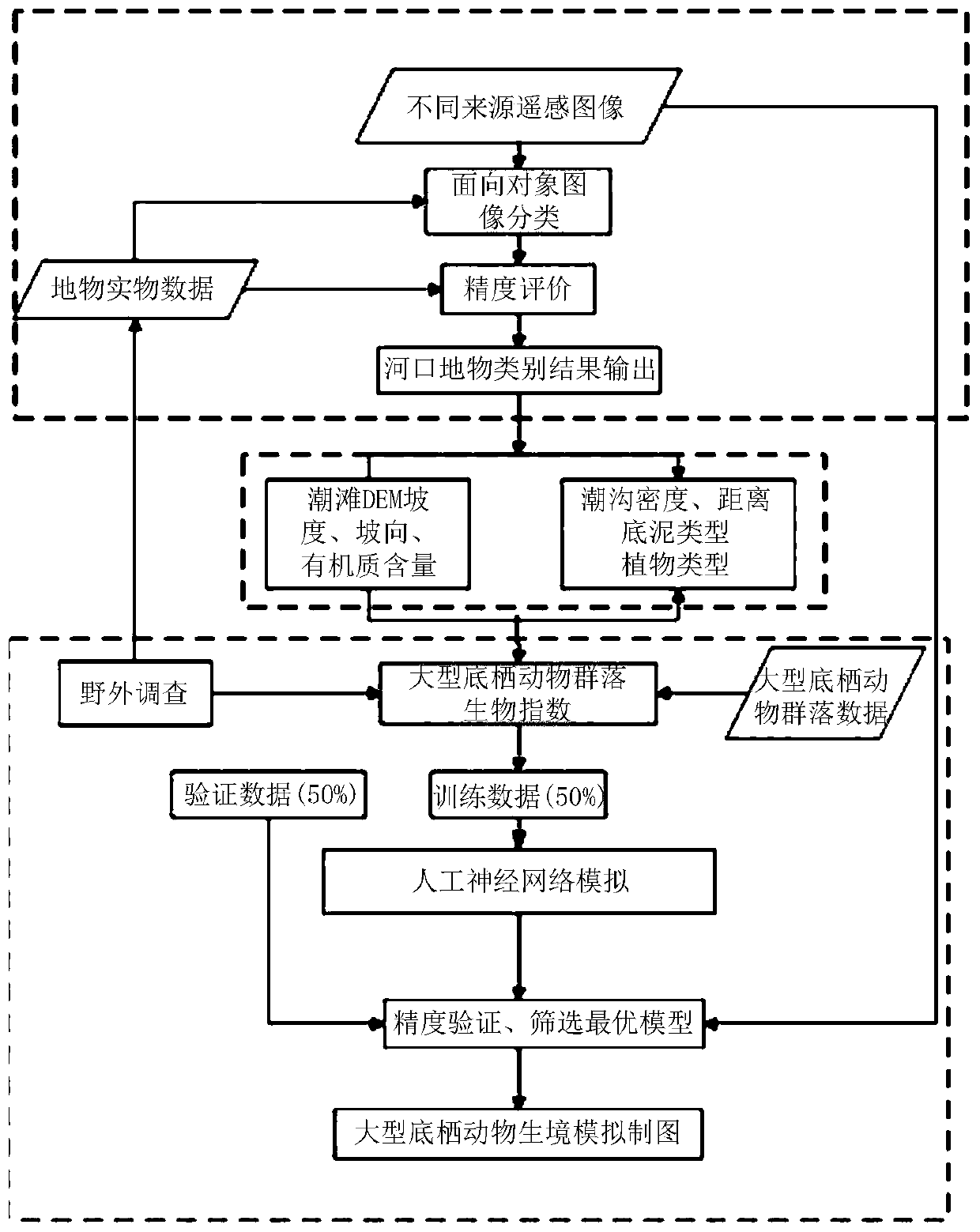 Yangtze estuary salt marsh wetland macrobenthos habitat simulation prediction method