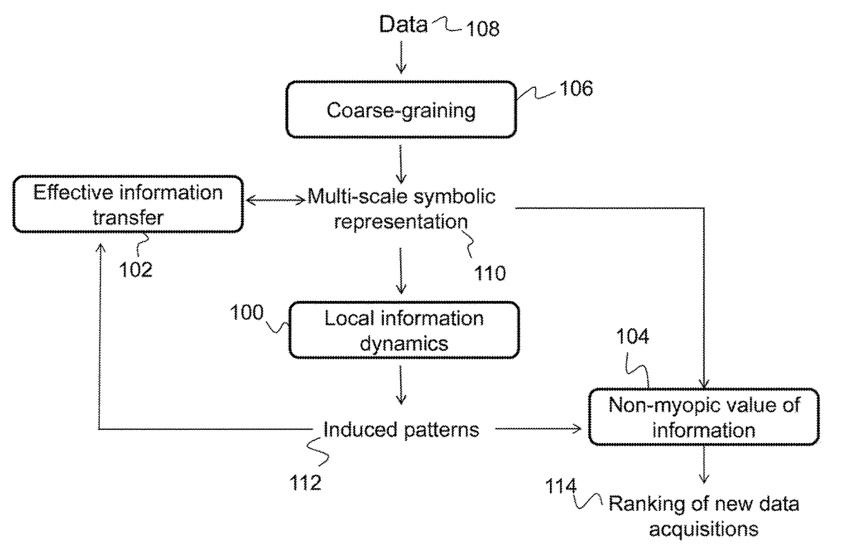 Multi-scale information dynamics for decision making