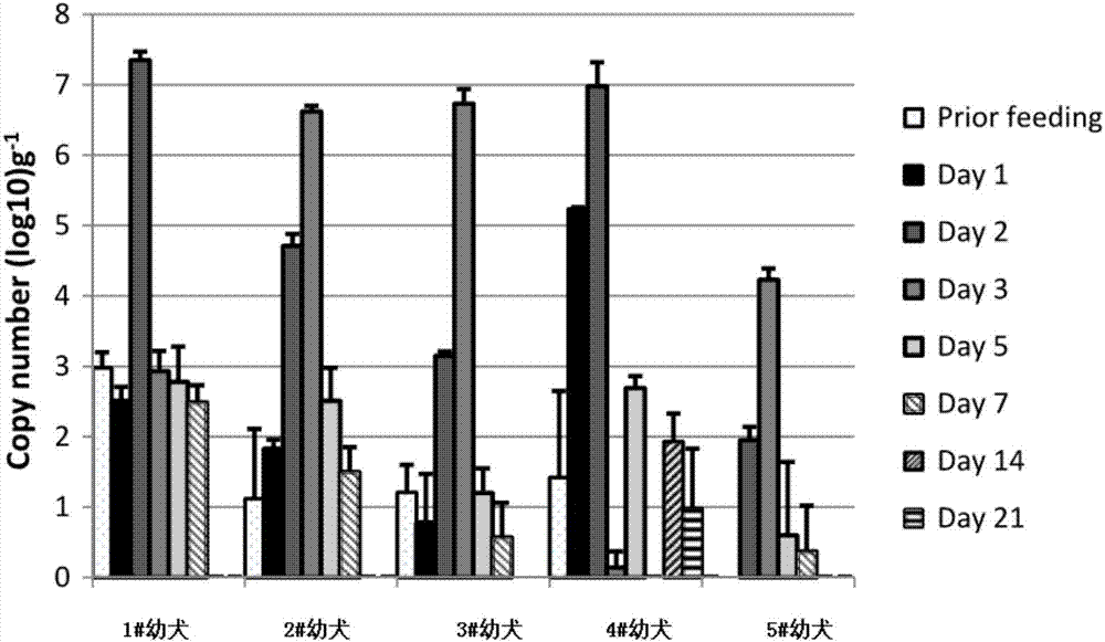 Probiotics composite and application thereof