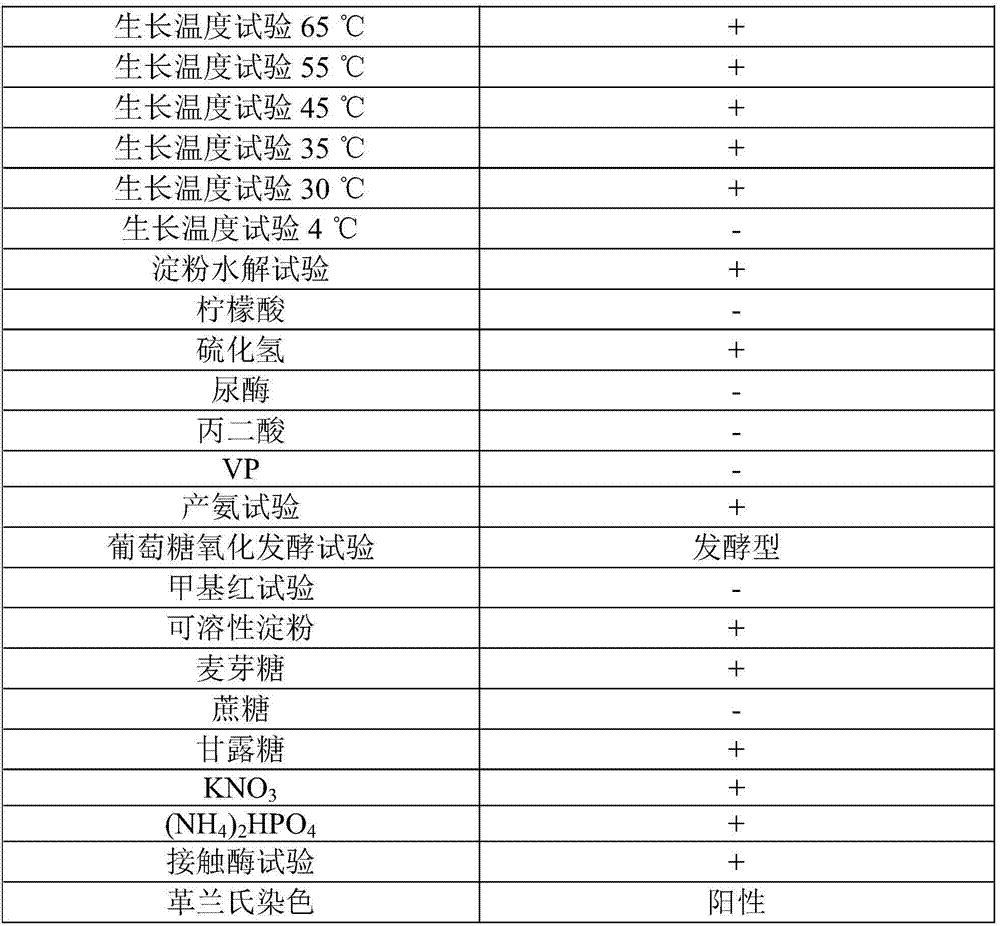 Banana fusarium wilt antagonistic strain, bio-organic fertilizer, preparation method and application thereof